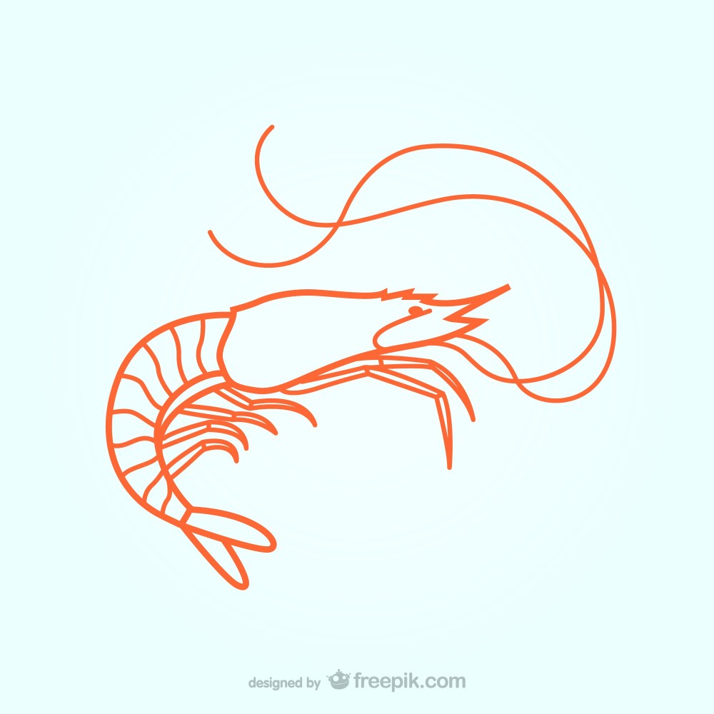 Lobster illustration