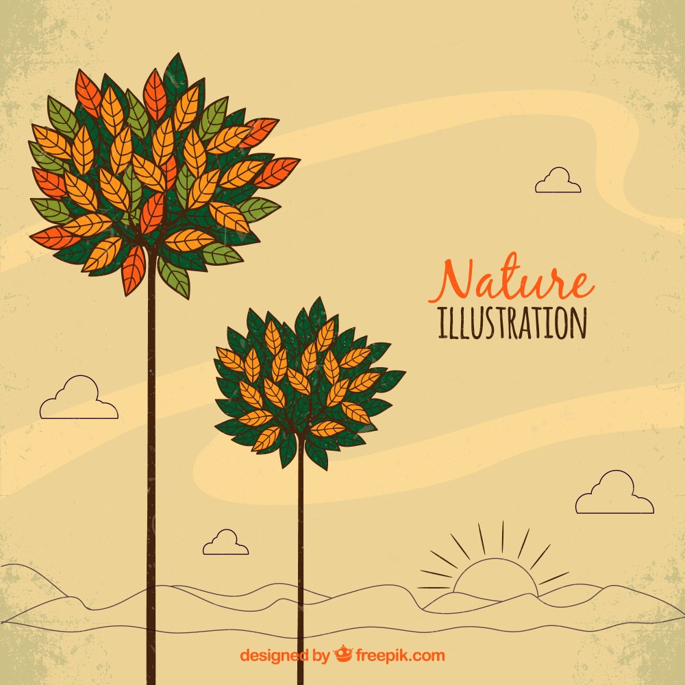 Nature illustration