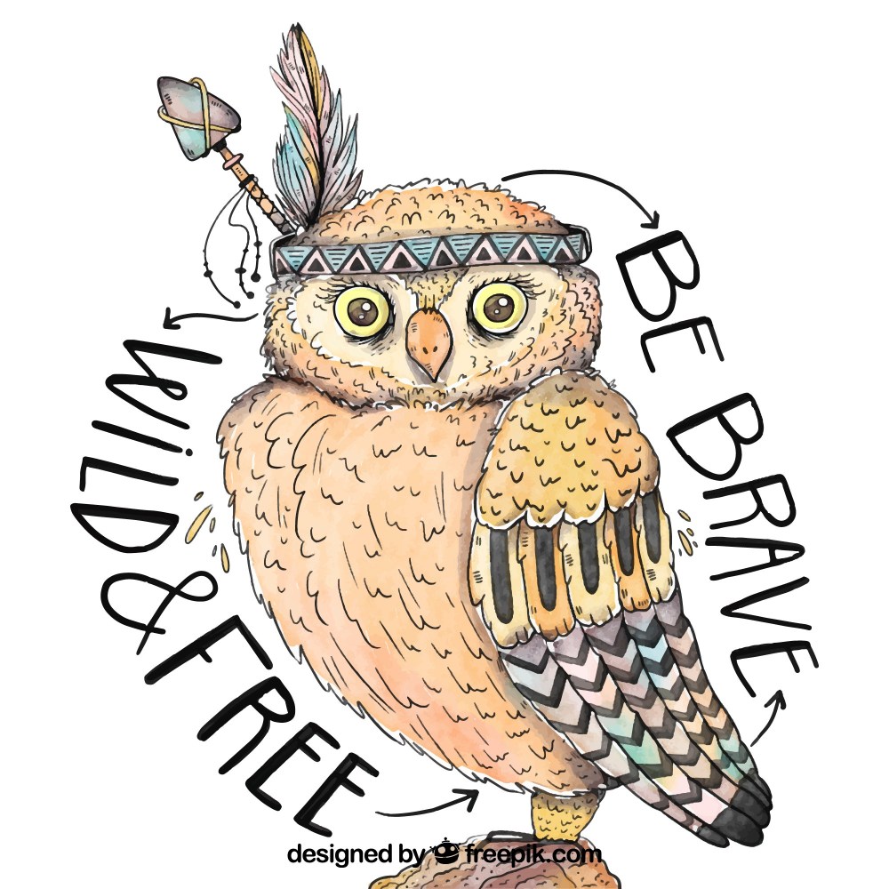 Owl hand drawn in ethnic style