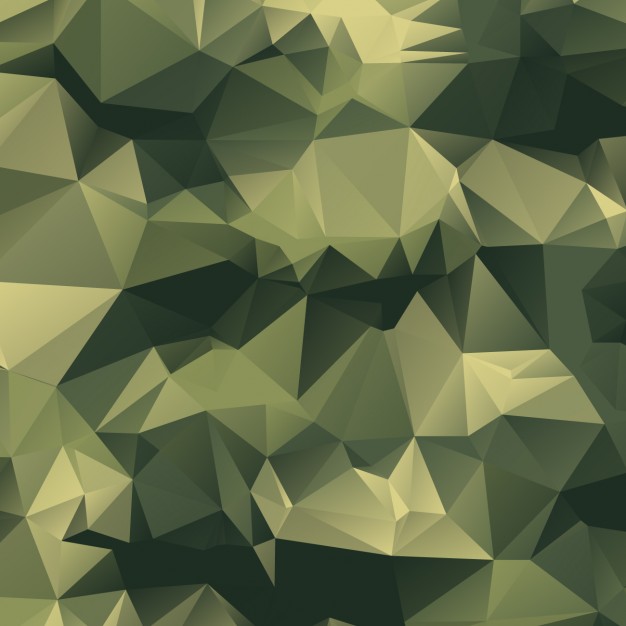 Polygonal camouflage background