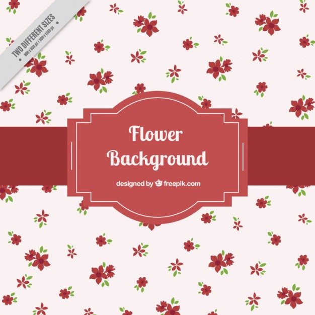 Red flower background