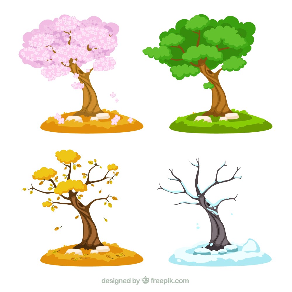 Seasonal trees