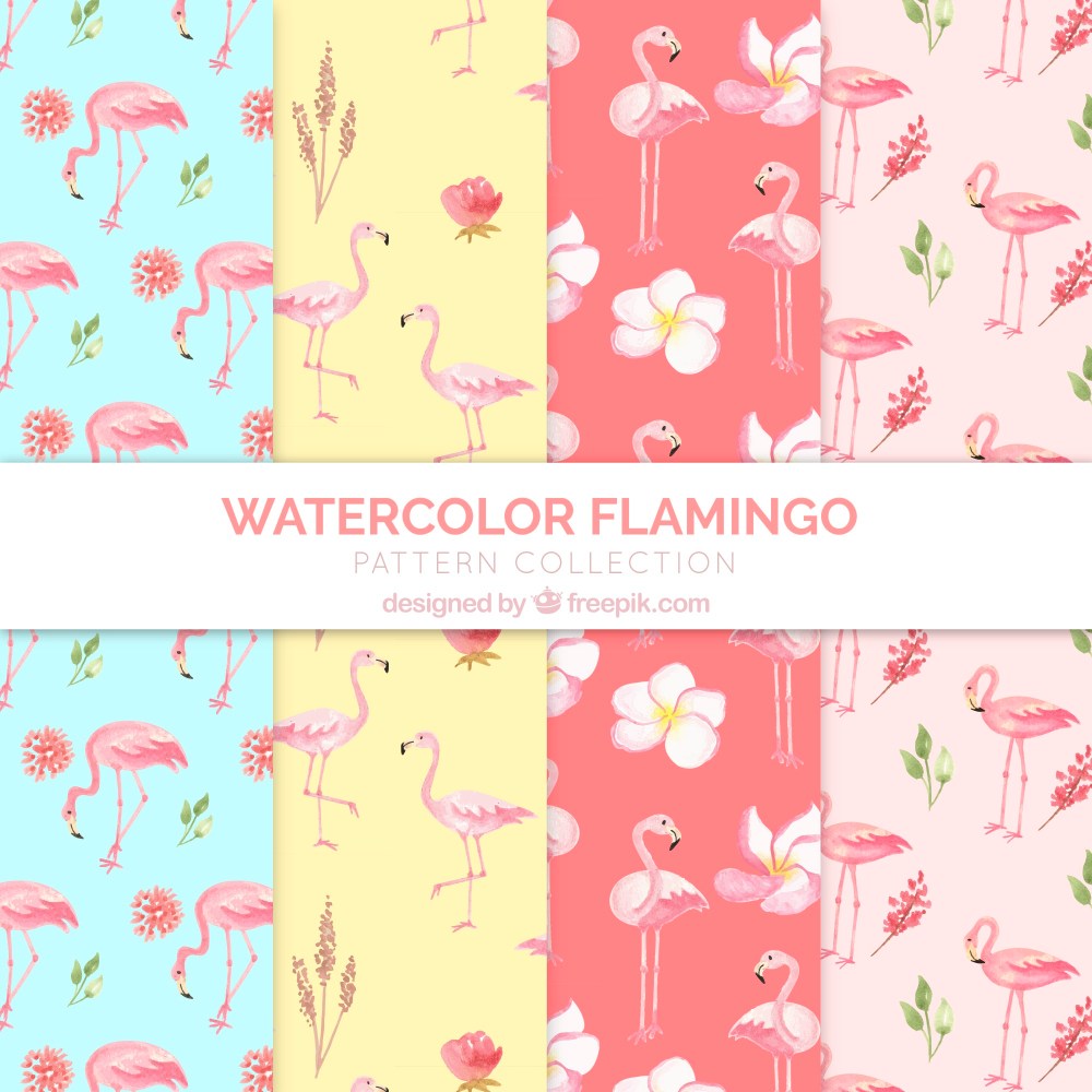 Set of flamingos patterns with plants