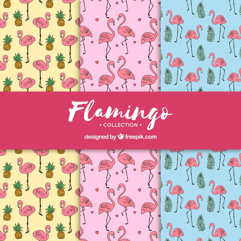 Set of flamingos patterns with plants 
