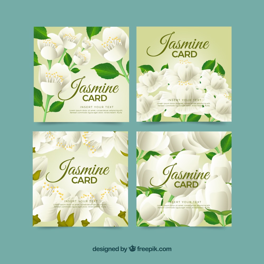 Set of four jasmine cards