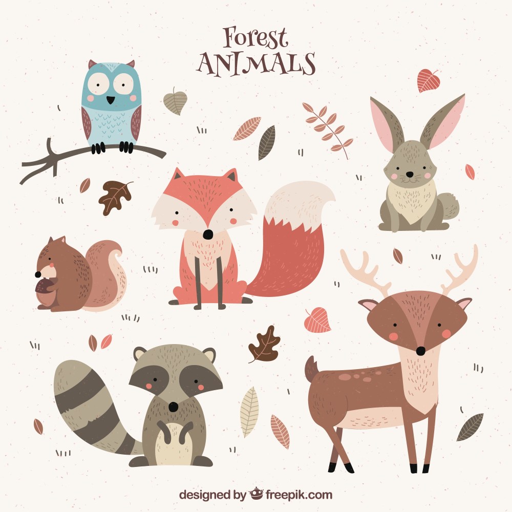 Several nice wild animals