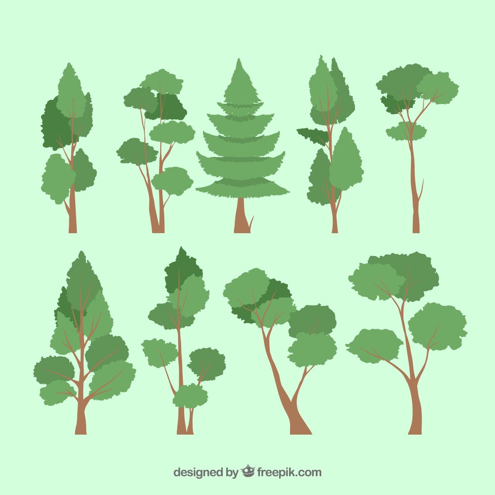 Trees collection in 2d style