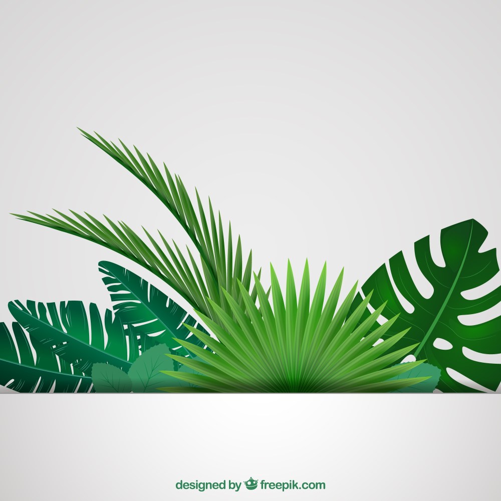 Tropical leaves background