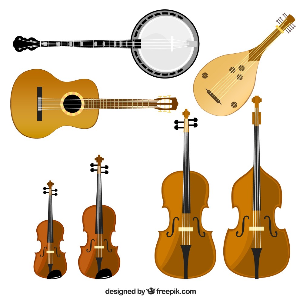 Variety of stringed instruments