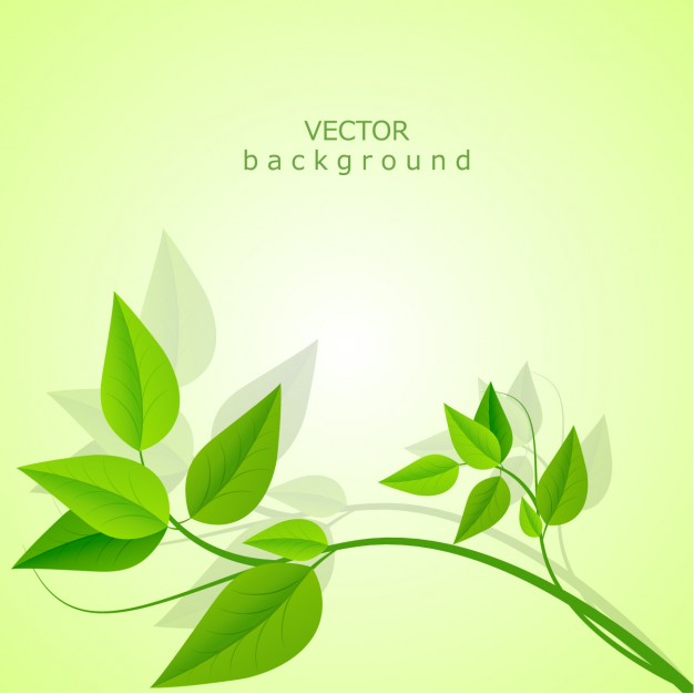 Vector background leaves