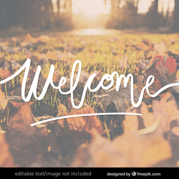 Welcome lettering