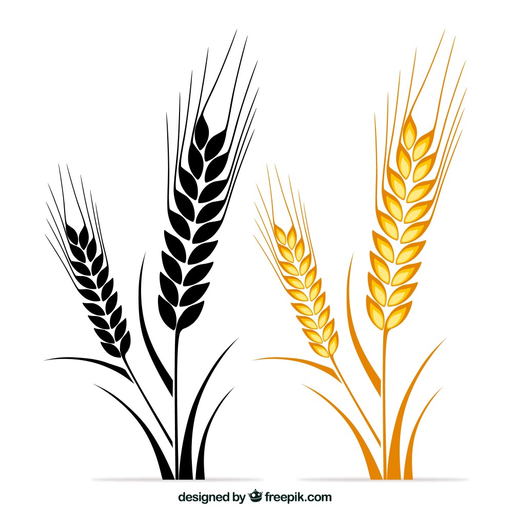 Wheat ears