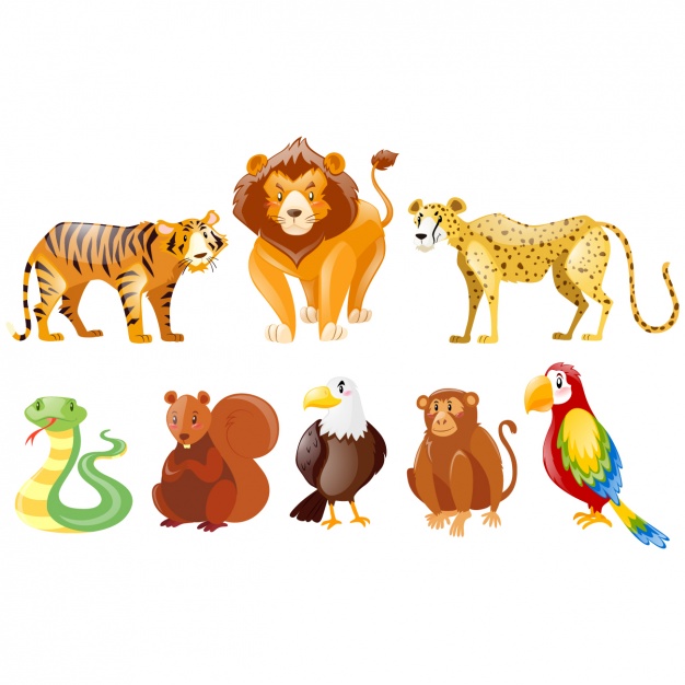 Wild animals collection
