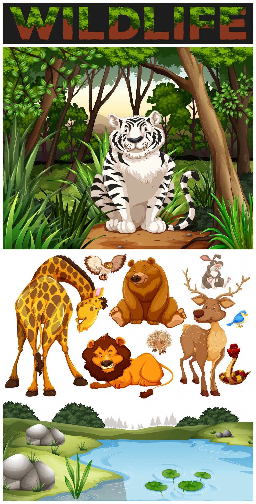 Wild animals in the jungle