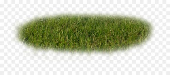 0 1 Money Digital camera Sharing - Field background pattern 