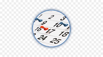 0 1 Sport Kenny Kim Brazilian Jiu Jitsu Online calendar - plastering effect 