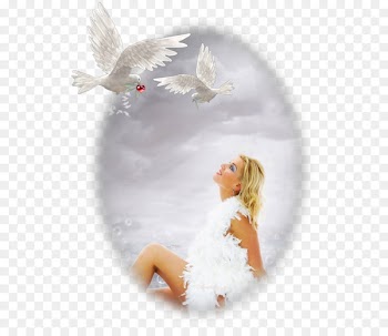 0 1 Thought December January - claire icon 
