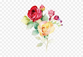 0 7c19c 708660f4 L - Rose Watercolor Painting Png