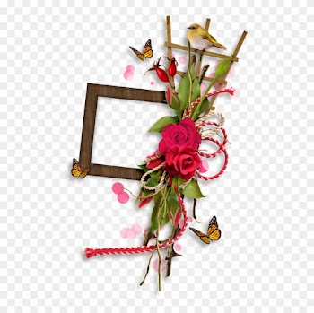 0 F11b2 15554aad Xl - Garden Roses
