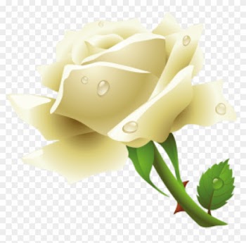 0 Kbyte, Images, Screen - Png Format Roses Png