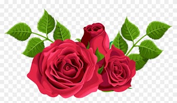 0, - Pink Roses Clip Art