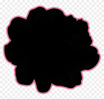 0 - Rose