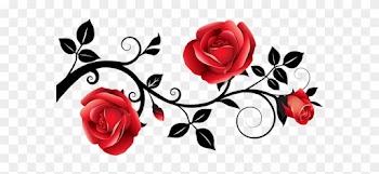 0, - Roses Png