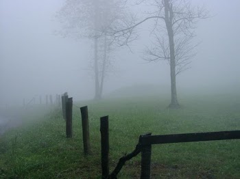 01010394.JPG