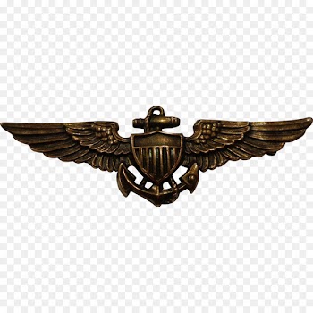 0506147919 United States Naval Aviator United States Navy United States Aviator Badge - pilot 