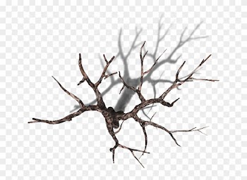 06 Feb 2009 - Dead Tree Top Down