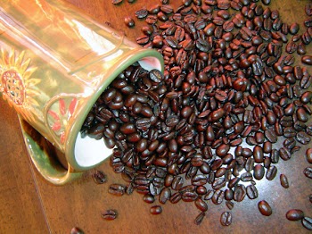 07092005_BEANS4.jpg