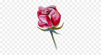 1/3 - Garden Roses