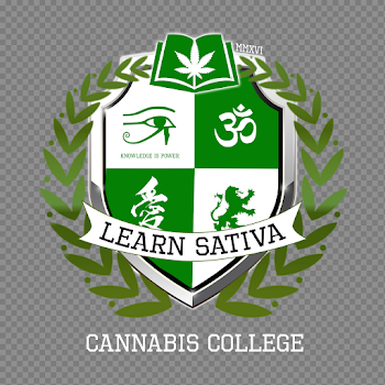 1 Cannabis College (Online & Hands-on) - Learn Sativa University