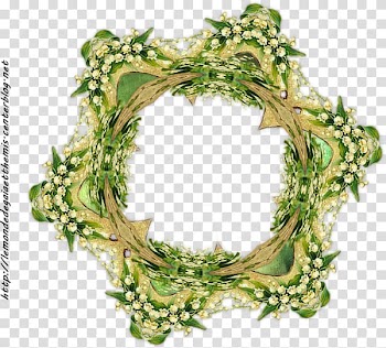 1 May Frames Yandex, lily valley transparent background PNG clipart