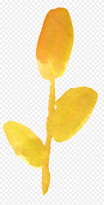 1 - Watercolor Yellow Flower Png Free