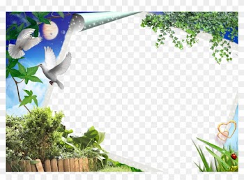 10 Transparent Psd Photoshop Frames Images - Png Frame For Photoshop