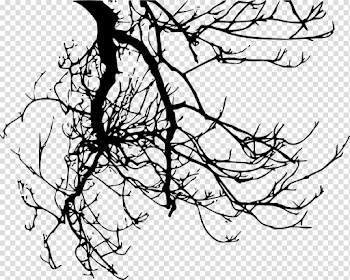 10 Tree Branches Silhouette (PNG Transparent) Vol. 2 | OnlyGFX.com