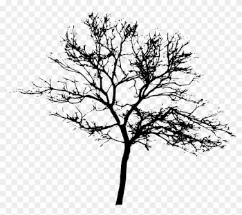 10 Tree Silhouettes - Woman No Longer A Little Girl
