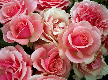 100_1473.JPG
