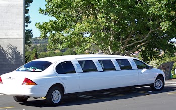 100_1969_limo.jpg