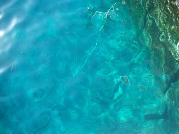 100_2118.JPG