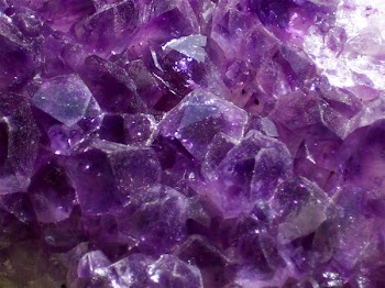100_3481.JPG