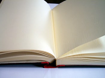 100_4272.JPG