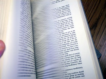 100_5905.JPG