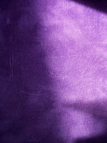 100_8129.JPG