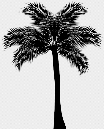100+ Free Clipart Palm Tree Silhouette Free Images At Clker Com ...