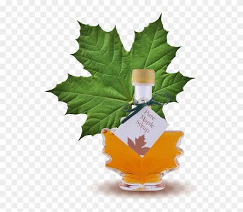 100% Pure Maple Syrup Maple Leaf Bottle - Bulk Maple Syrup For Sale