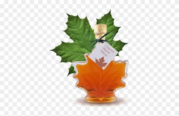 100% Pure Organic Maple Syrup Large Maple Leaf Bottle - Bulk Maple Syrup For Sale