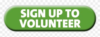 100 Questions For The Girl Scouts,girl Scouts Of The - Volunteer Monday