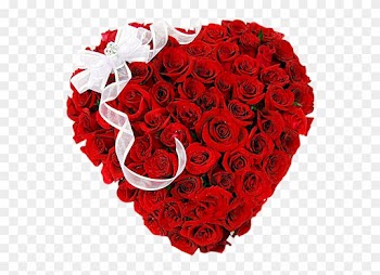 100 Roses Heart - Red Roses Heart Shape